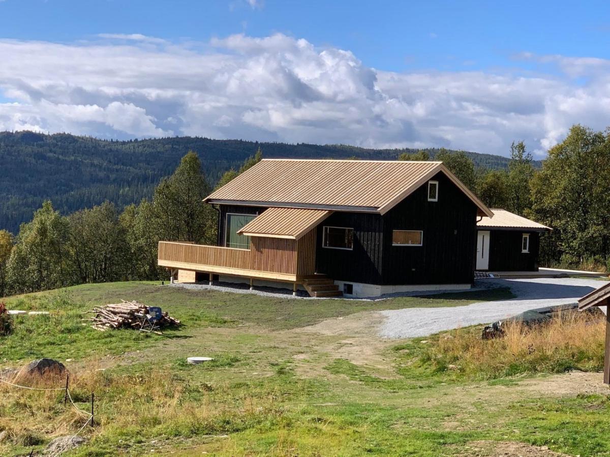 Na Er Vinteren Kommet Til Hallingdal Al Kültér fotó