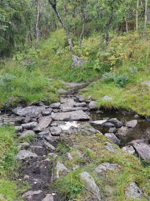 Na Er Vinteren Kommet Til Hallingdal Al Kültér fotó