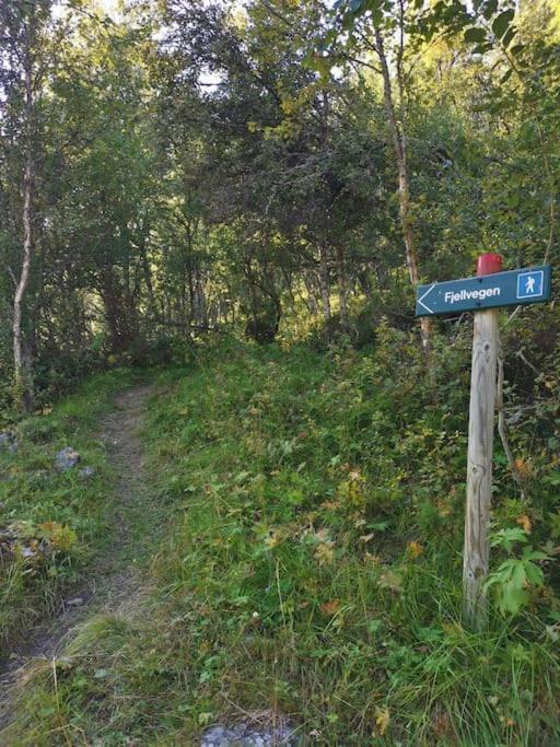 Na Er Vinteren Kommet Til Hallingdal Al Kültér fotó