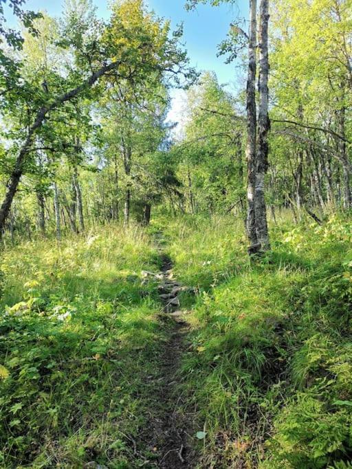 Na Er Vinteren Kommet Til Hallingdal Al Kültér fotó