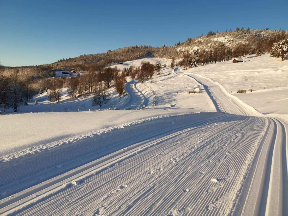 Na Er Vinteren Kommet Til Hallingdal Al Kültér fotó
