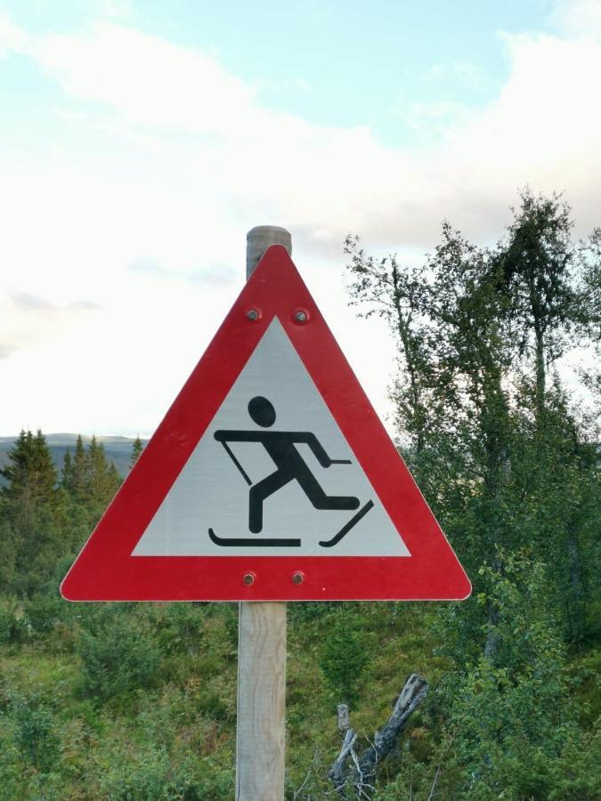 Na Er Vinteren Kommet Til Hallingdal Al Kültér fotó