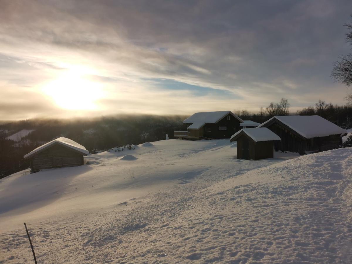 Na Er Vinteren Kommet Til Hallingdal Al Kültér fotó