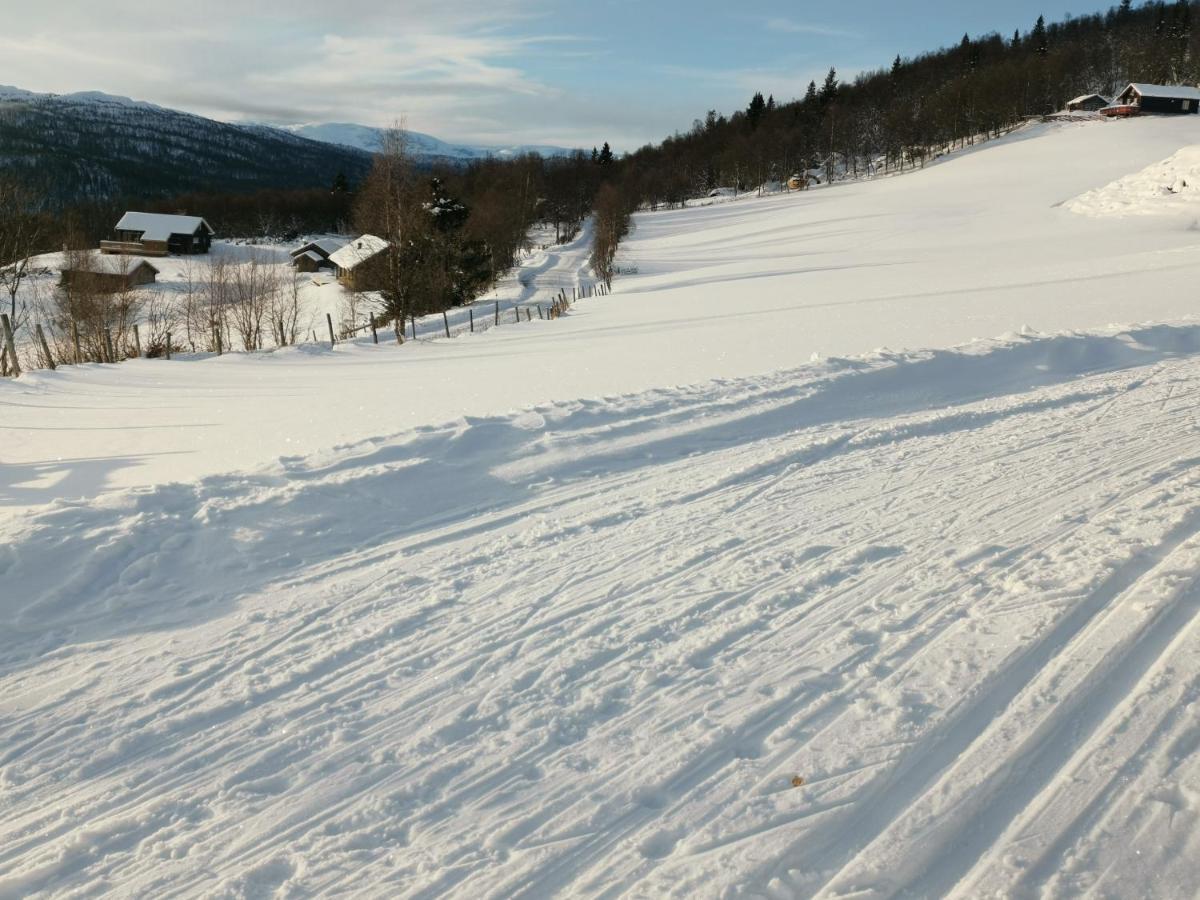 Na Er Vinteren Kommet Til Hallingdal Al Kültér fotó