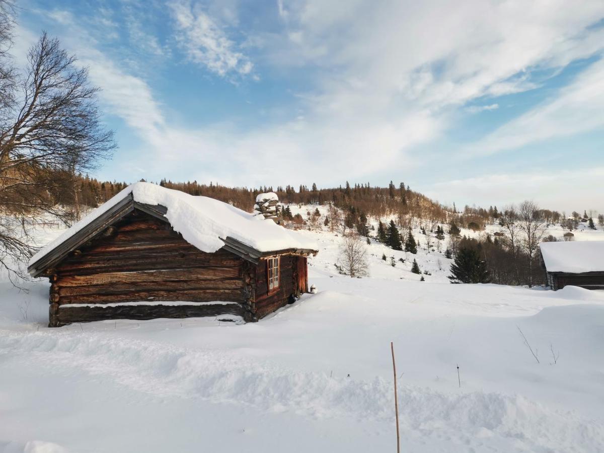 Na Er Vinteren Kommet Til Hallingdal Al Kültér fotó