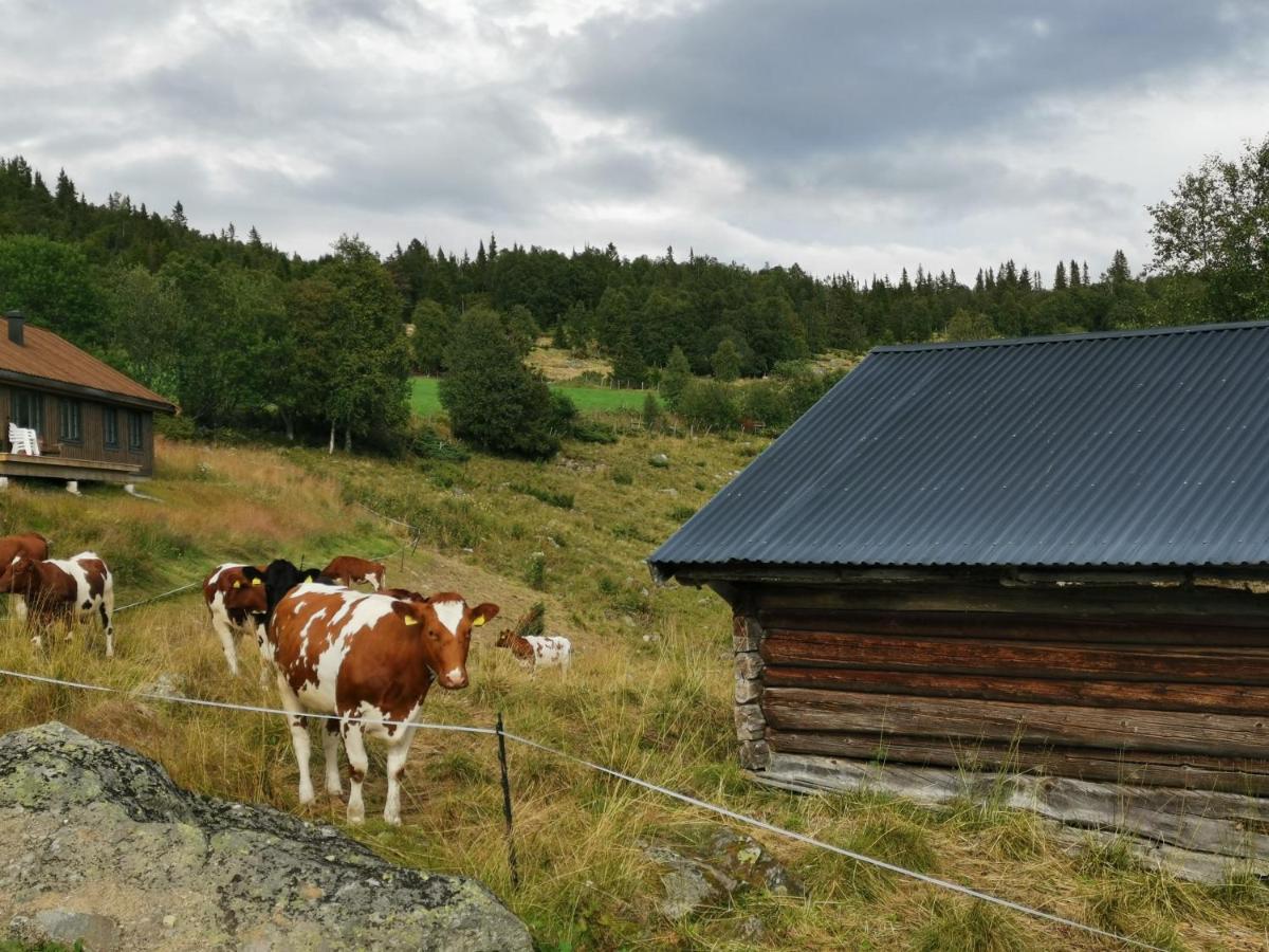 Na Er Vinteren Kommet Til Hallingdal Al Kültér fotó